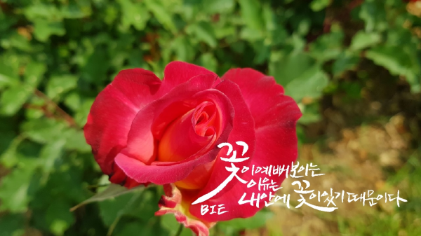 510c96e25816d0edfa6879bd11f6fc2d_1588138820_85.png
