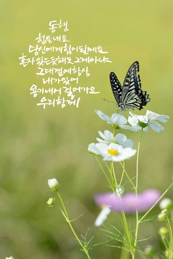 65b9f9c141e9f470b4c7a8e1c2eaf54d_1586481917_16.png